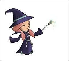 Qui est le maître mage ?