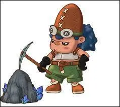 Qui est le maître mineur ?