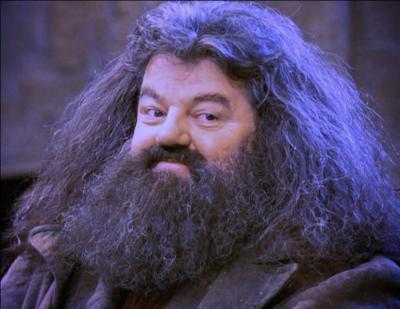 Quelle est la caractéristique physique de Madame Maxime qui la rend très proche d'Hagrid ?