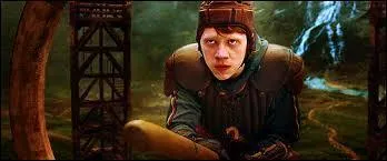 (Harry Potter et le prince de sang-mêlé) - Pourquoi Ron devient-il gardien de l'équipe de Griffondor ?