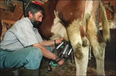 Nous finirons avec ce brave homme qui est un ... ?