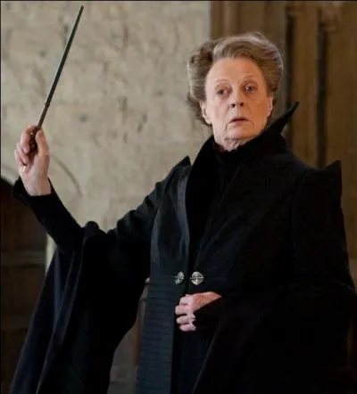 Que faisait Harry quand McGonagall s'est faite stupéfixier ?