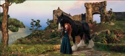 Comment se nomme le cheval noir, dans "Rebelle" ?