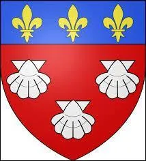 C'est la blason d'une ville auvergnate. Capitale historique française du parapluie, c'est la ville ...