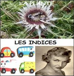 Plante aimant les rocailles ensoleillées.