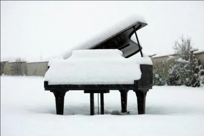 Dans une chanson de Michel Sardou, quel compositeur était assassiné dans un café de Varsovie ?