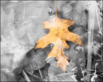 Complétez ce poème de Victor Hugo, extrait des "feuilles d'automne" (Ce siècle avait deux ans) : Alors dans Besançon, vieille ville espagnole, Jeté comme la graine au gré de l'air qui vole ...."