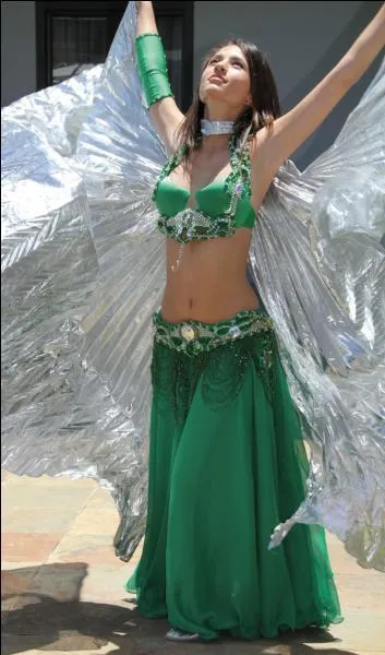 Quelle est la langue officielle de l'Egypte ?