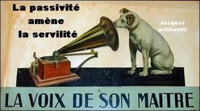 Habitantes d'un pays dont l'emblème est le cèdre !