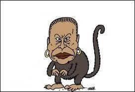 Autre exemple marquant survenu en juillet 2014. Une commerçante des Ardennes, tête de liste FN aux municipales, avait fait grand bruit en comparant une ministre à un singe, par rapport à ses origines. Lorsque "liberté d'expression" rime avec "bêtise affligeante"... Qui était cette fameuse femme politique insultée pour sa couleur de peau ?