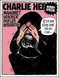 A propos de "Charlie Hebdo", ce célèbre hebdomadaire riche en caricatures cinglantes est l'un des fers de lance dans le domaine de :