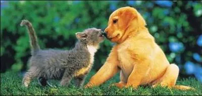 Quelle vaccination est obligatoire ?