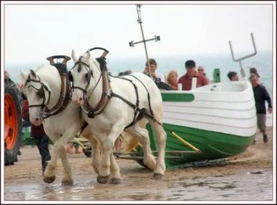 Entre deux falaises, la baie de ce bourg de la côte d'Opale étire sa plage de sable fin sur douze kilomètres. Amoureux des cerfs-volants ou des sports de glisse, dans quelle station balnéaire du Pas-de-Calais irez-vous pour vous divertir ?