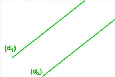 Ah ! Fallait écouter au cours de maths ... Ce sont des droites ...