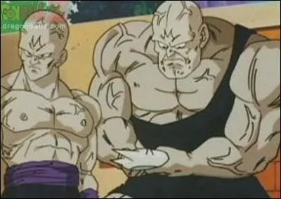 Qui ont été chargés de trouver l'énergie nécessaire pour le libérer ?