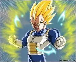 Qui assomme Goku pour aller combattre le démon ?