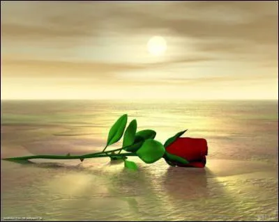 Si je vous envoie très grossièrement sur les roses, qu'allez-vous penser ?