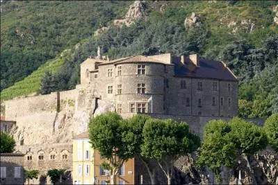 De quel roi de France, le fils a&icirc;n&eacute; est-il mort &agrave; 19 ans au ch&acirc;teau de Tournon ?
