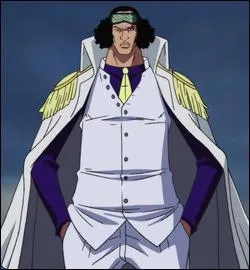 Quel est le grade d'Aokiji ?