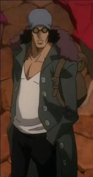 Quel est le grade d'Aokiji ?