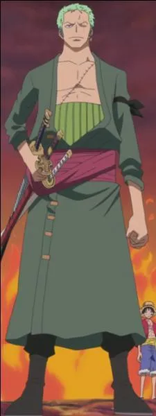 De quelle région vient Roronoa Zoro ?
