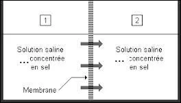 Science  Complétez : « Le phénomène d'osmose est le passage d'une solution  à travers une membrane semi-perméable la séparant d'une solution . .