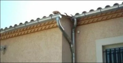 Jour 28 : un alliage de cuivre et ... donne le laiton !