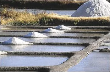 Jour 22 : chlorure de sodium !