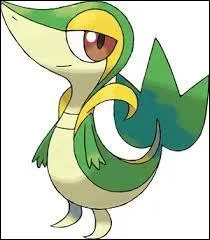 Comment s'appelle ce Pokémon ?