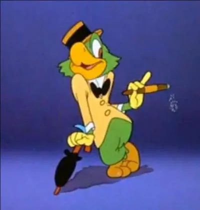 Comment s'appelle ce perroquet, ami du canard précédent ? De quel pays vient-il ?