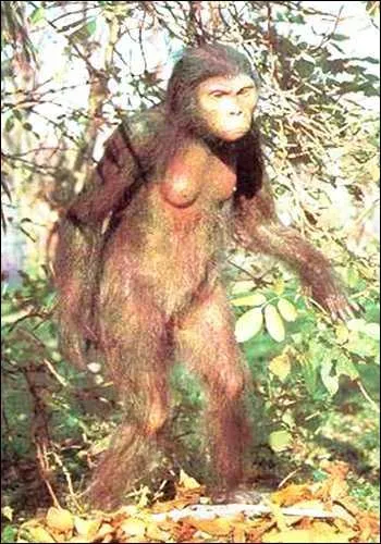 C'est l'une de nos ancêtres, la plus célèbre du monde, Lucy fut découverte en Ethiopie en 1974, pourquoi lui a-t-on donné ce prénom ?