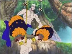 Quel(s) fluide(s) maîtrise Ener ?