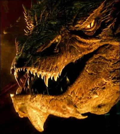 Il vous reste alors 4G 4M 11N dans votre portefeuille (en peau de Moke). Pour votre ami Hagrid, vous zyeutez sur le foie de dragon... Mais malgr&eacute; les soldes, les prix n'ont pas chang&eacute; :