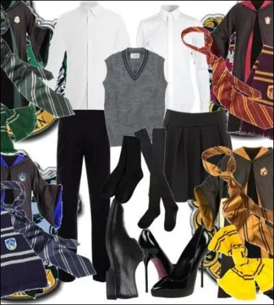 Vous prenez &eacute;galement une chemise blanche &agrave; manches longues (12M), une cravate fine aux couleurs de votre maison (145N) et une jupe pliss&eacute;e noire arrivant au genoux (1G). Le tout vous co&ucirc;te :