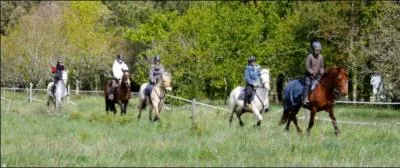Lorsque plusieurs cavaliers amènent leur monture sur le terrain, ils doivent laisser une distance entre eux (devant, derrière et sur les côtés) équivalente à :