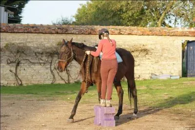 Le montoir désigne :