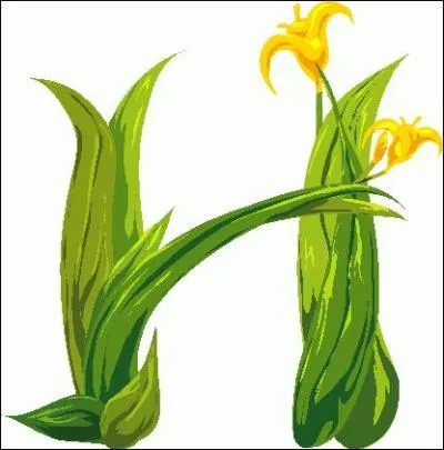 Jean Cocteau : "À force de plaisirs notre bonheur..." !