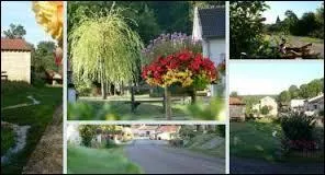 Voici différentes vues de Flammerécourt. Commune Haut-Marnaise, elle se situe en région ...