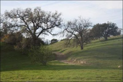 Quel est le nom du ranch où a été tourné la série à Los Angeles ?