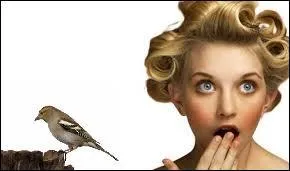 Emma est étourdie, elle a une cervelle de :