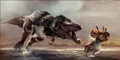 Le premier fossile du Tyrannosaurus rex a été découvert en :