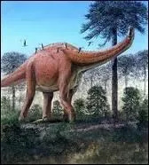 Pourquoi les sauropodes avalaient-ils des cailloux ?