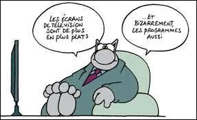 Quelle est la signification de la lettre P dans l'acronyme PAF ?