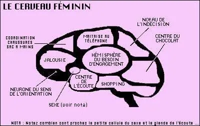 Une citation vengeresse du sexe féminin : Pourquoi les femmes ne clignent-elles pas des yeux durant les préliminaires !