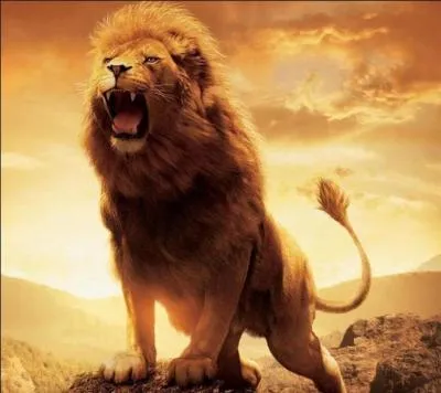 Qui meurt à fin du film ?