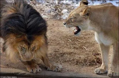 Comment se nomme l'une de leurs tantes ?