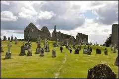 Dans quel monastère médiéval, haut lieu culturel situé en plein cur de l'Irlande à proximité de la rivière Shannon, a-t-on retrouvé plusieurs croix celtiques ?