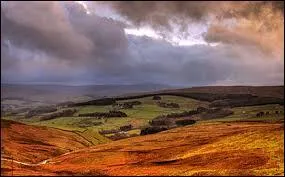 Comment nomme-t-on ce type de paysage et de végétation typiquement anglais que l'on voit sur cette photo prise dans le Yorkshire et que l'on peut traduire en français par "landes" ?
