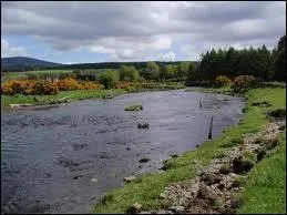 Lequel de ces cours d'eau n'arrose pas l'Angleterre ?