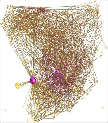 En quelle année John White publie-t-il une carte du cerveau ?